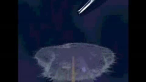 Illustration of Mercury Damage - Univ. of Calgary