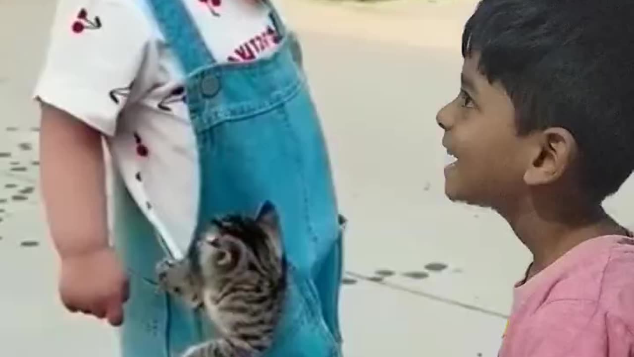 cute baby and cat fanny video