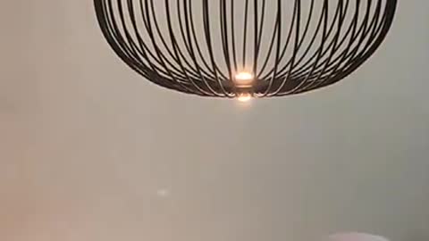 Nordic Remote control Foscarini Spokes Bird Cage Chandelier Industrial style Black White Yellow Iron