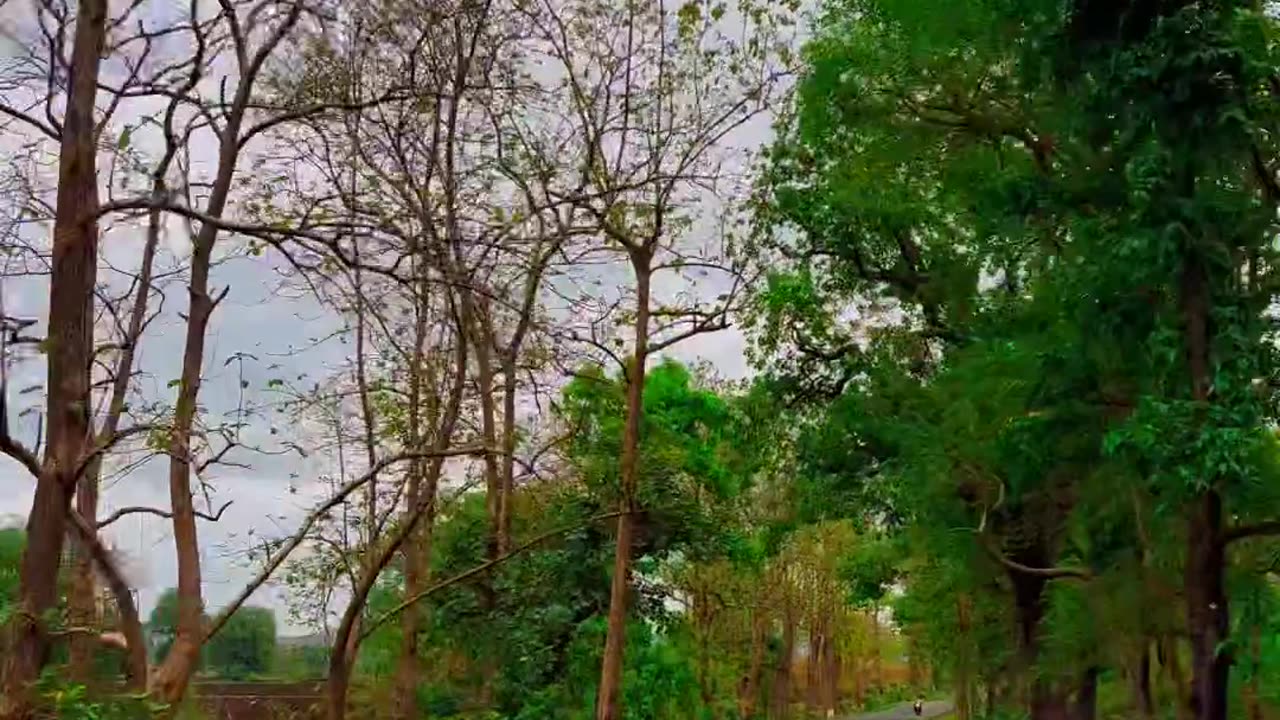 Wow Wonderful Trip