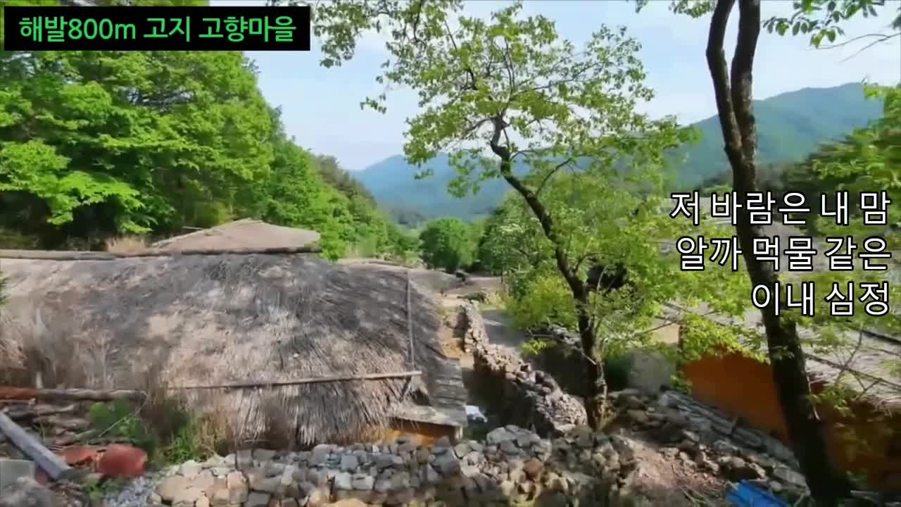 김다현(김봉곤훈장)청학동 하늘아래첫 해발800m고지. 풍경~사랑님 오셨네요