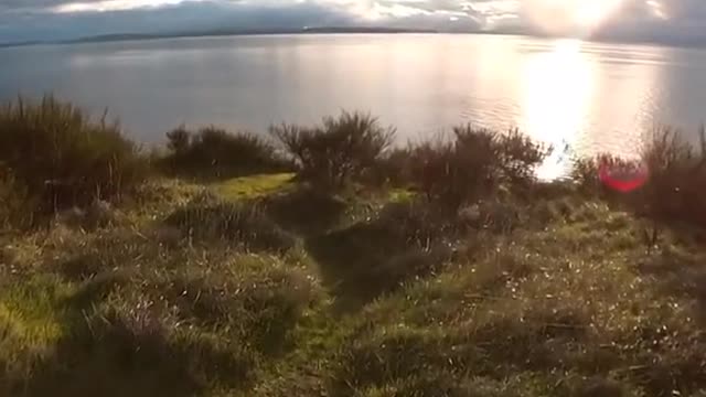 Golden hour - Wave hello to the Olympic Peninsula peeps
