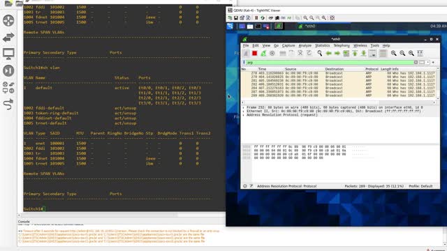 VLAN's Trunks and SVI's