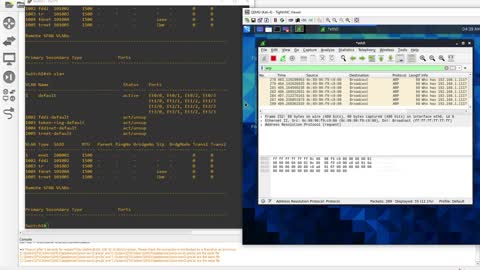 VLAN's Trunks and SVI's