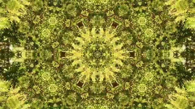 Binaural Sleep Therapy - Binaural Beats Music, Meditation, Relaxing