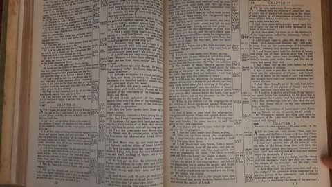 Numbers 18