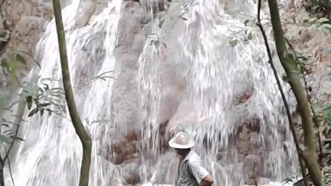 Living in Paradise ! Waterfall on Rainsong Wildlife Sanctuary
