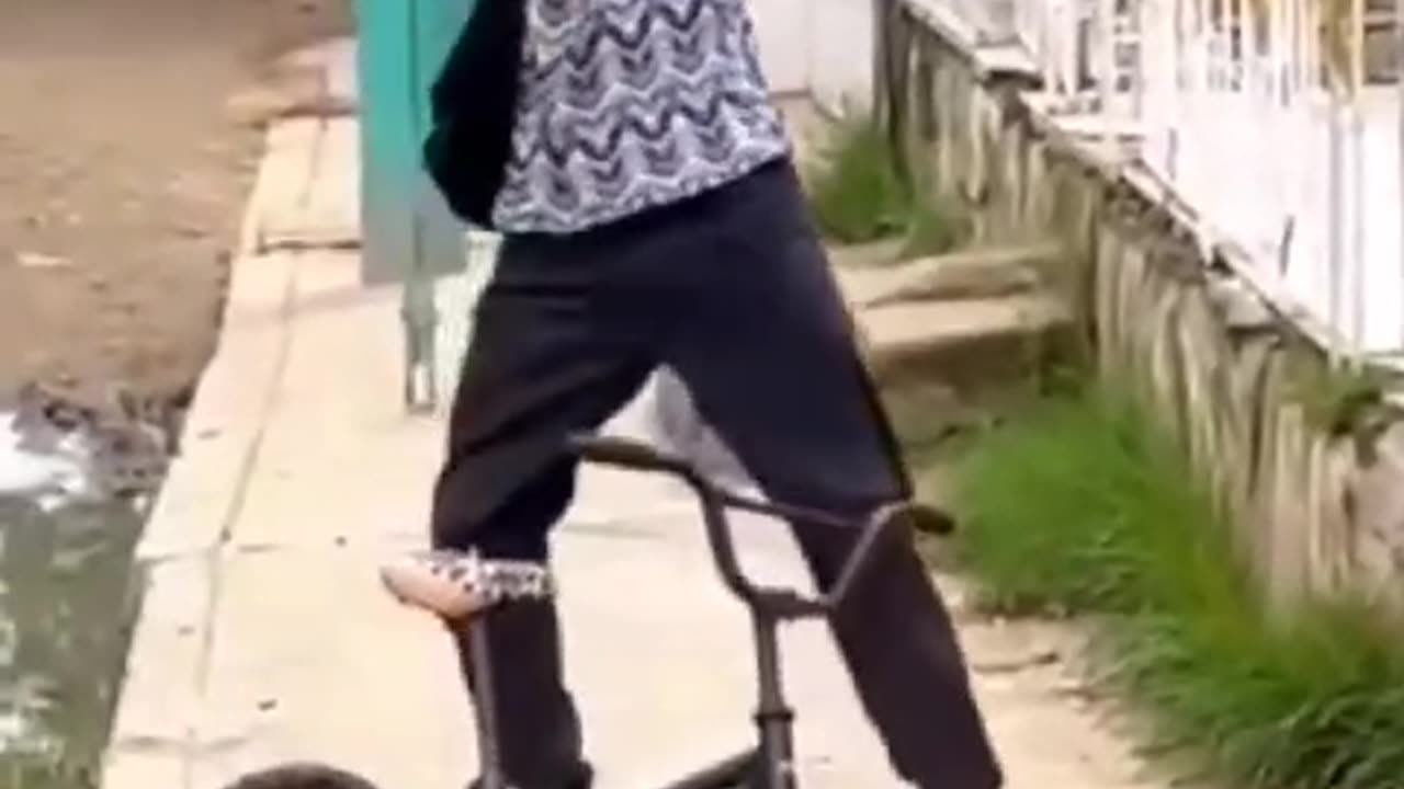 Funny videos