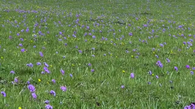 The First Day of Touring the Grassland by RV: Aktas Grassland, Yili