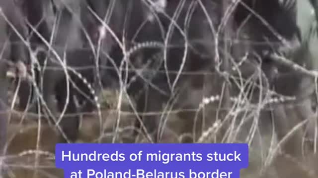 Hundreds of migrants stuck at Poland-Belarus border