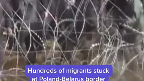 Hundreds of migrants stuck at Poland-Belarus border