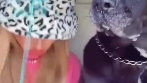 full Funy Doog and home viral Amezing video🦡🦊