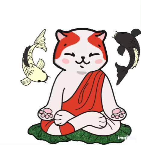 Buddha Cat GIF ☯️