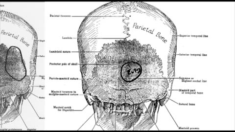 JFK 50 REASONS FOR 50 YEARS EP48