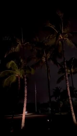 Dan Scavino Jr.🇺🇸🦅 from Palm Beach, FL