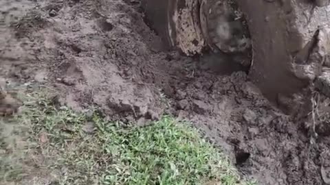 Indian tractor tire blew up in the field of mud