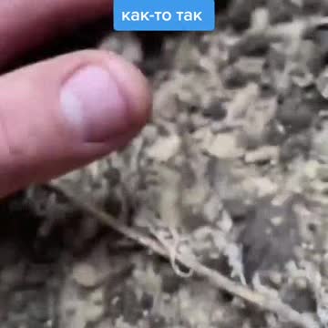 Right on target🇺🇦