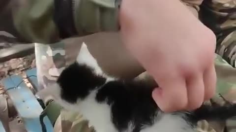 Soldiers Play With a Tiny Kitten || Viral Verse