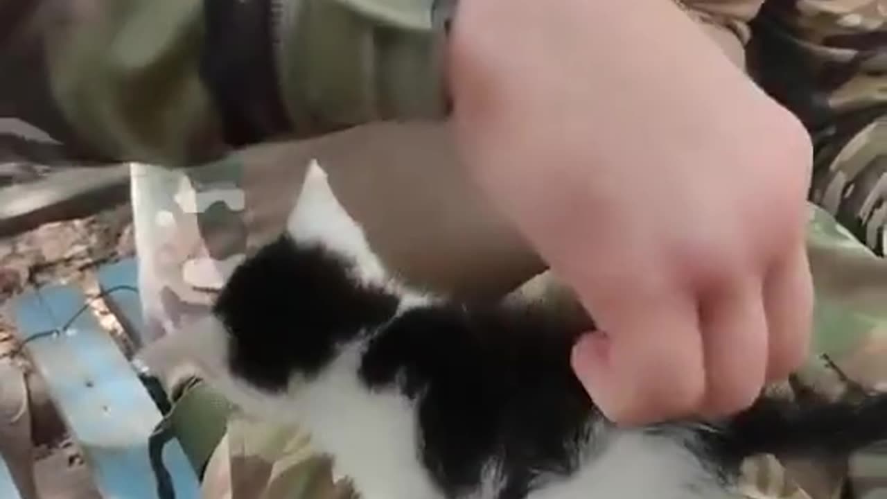 Soldiers Play With a Tiny Kitten || Viral Verse