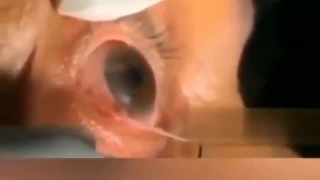 The vril reptilian drone