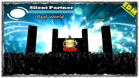 Silent Partner Real Worlds EDM NC #edm #audiobug71 #nc