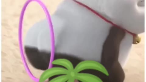 Funny video
