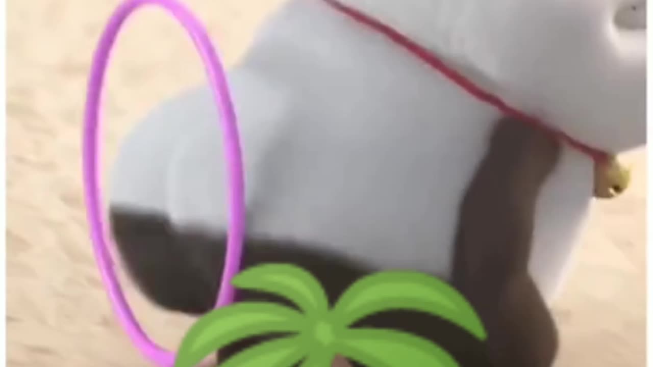 Funny video
