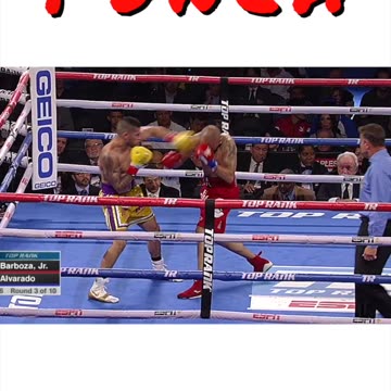 Brutal PUNCHES! Knockout