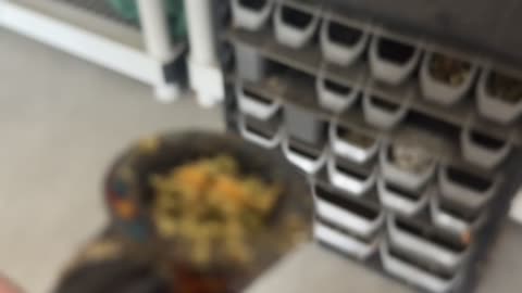 Day 123 This is how I am without drugs in the start lmao