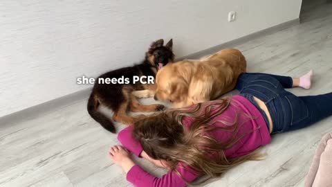 Faking My Death in Front of My Dogs | Funny Dogs Reaction