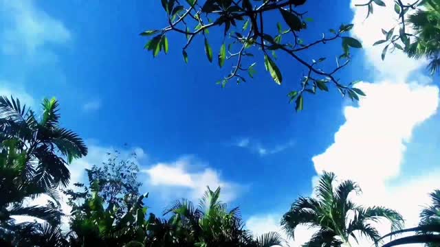 the beauty of the blue sky white clouds moving natural and green nature background video