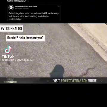 Project veritas exposing radical teachers