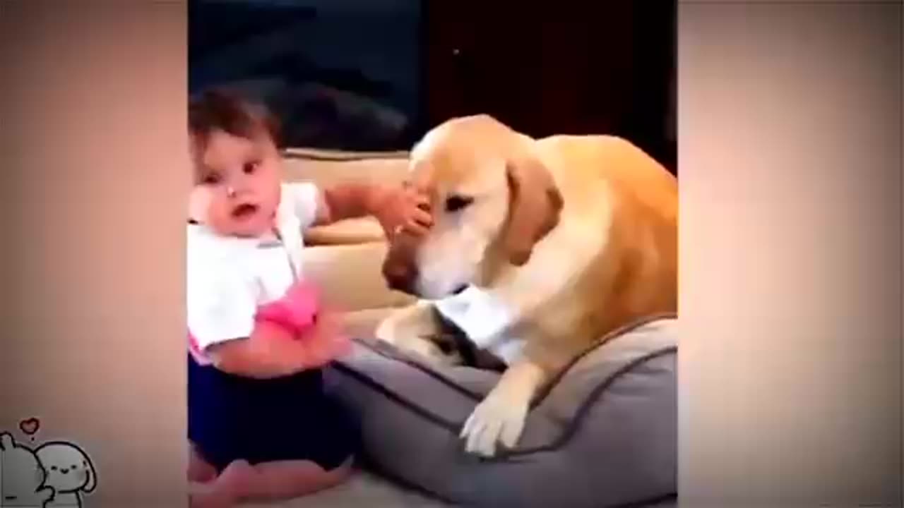 Best_video_of_Cute_Babies_and_Pets_-_Funny_Baby_and_Pet