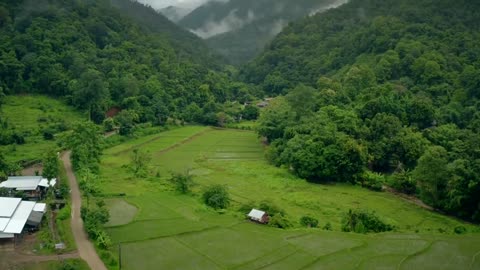 Nature and mountains green with tree and hills videos