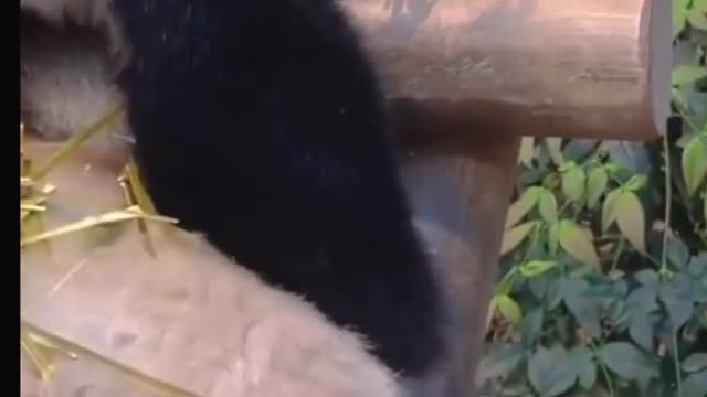 Daddy, don't touch me when I eat delicious food, OK