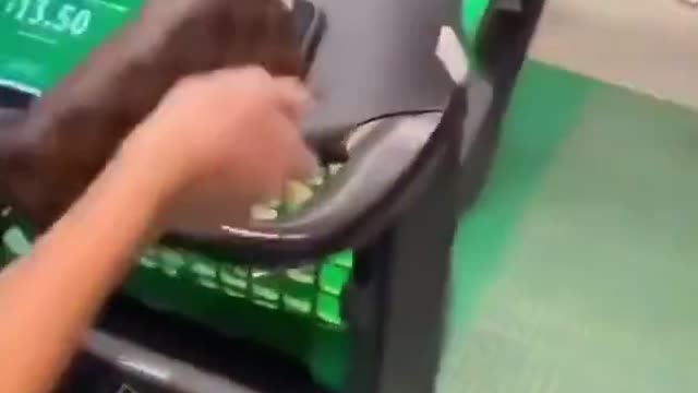 future of grocery shopping