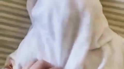 Wait for the end