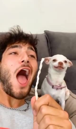 My Pet angry you can see this