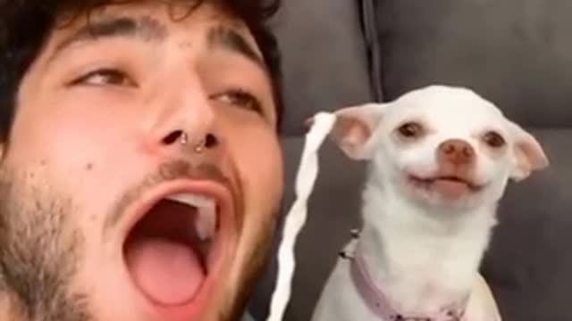 My Pet angry you can see this