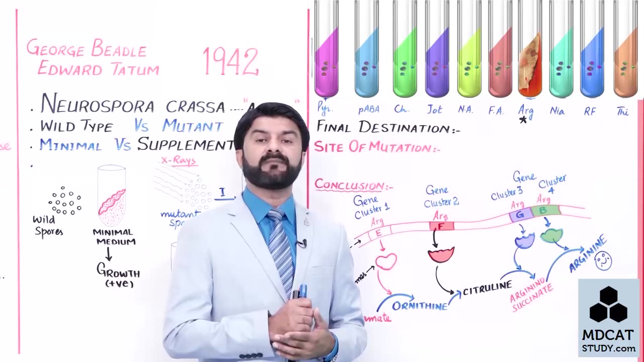 LEC#9 ONE GENE ONE ENZYME HYPOTHESIS