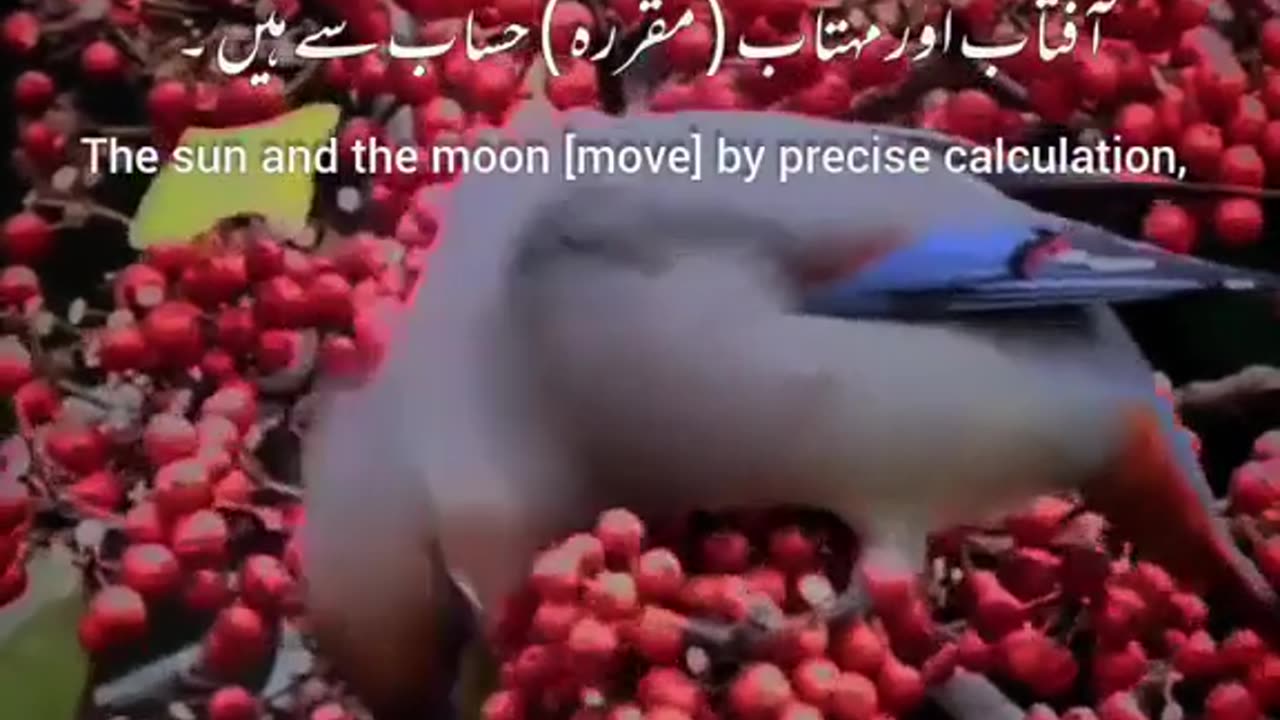 أَسْأَل الْلَّه تَعَالَى