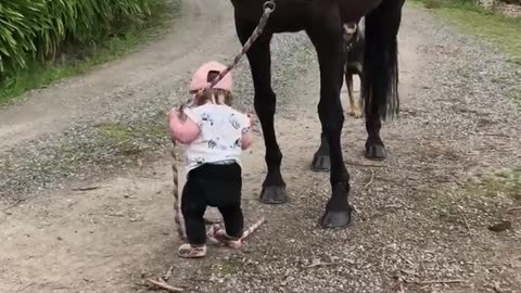 Little Girl Leads Horse __ ViralHog