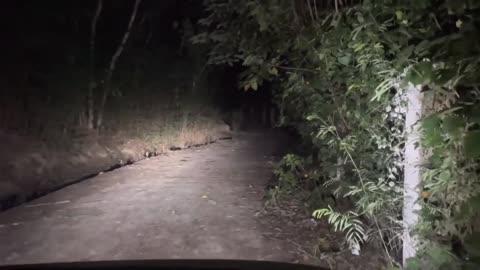 Spine-Chilling Ghost Encounter on Scary Road