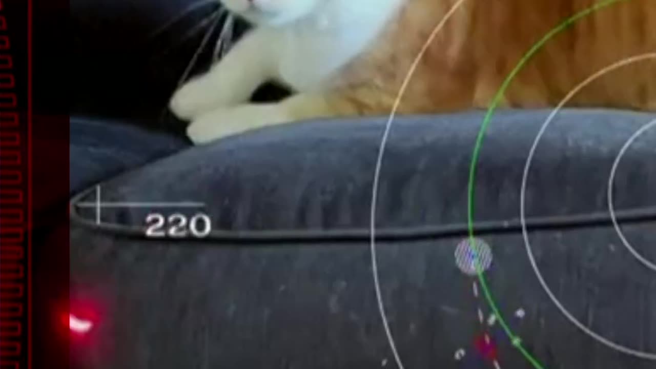 Nasa beamed a cat video 19 million miles from space to Earth with a laser. #Shorts #Nasa #BBCNews