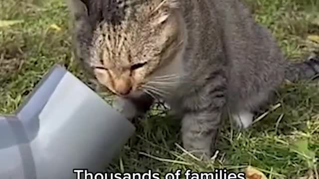 These food dispensers are for the homeless animals of Ukraine