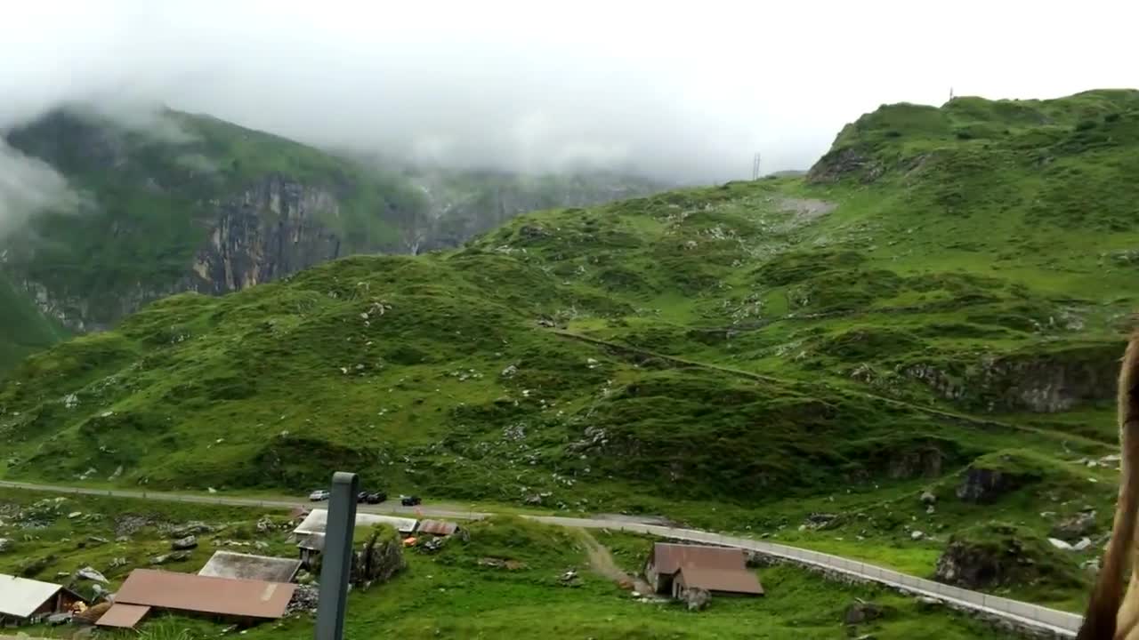 Svizzera. Alpi. Mucche. Ciclista