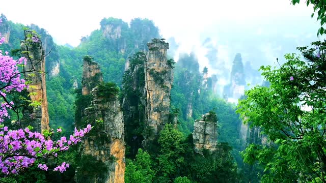 China's Enchanted Nature for nature lovers