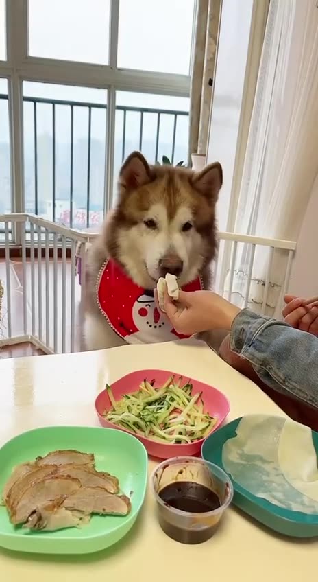 And the Dogs will RULE-always lol