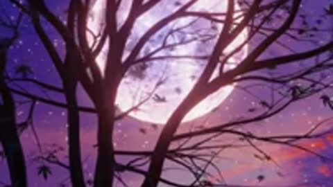 Relaxing Music | Sleeping, Meditation, Stress Relief | [6410] ⭐️