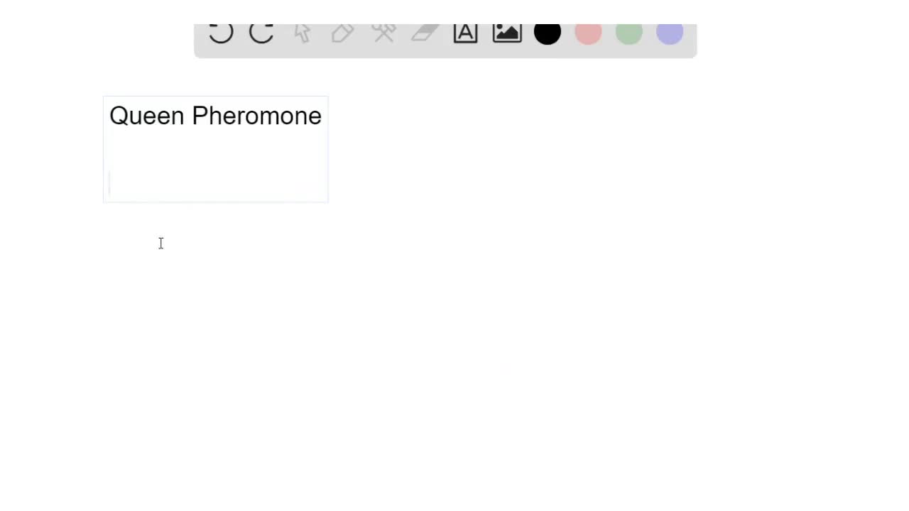 In the experiment described in Question 14 the researchers dissolved the queen pheromone in diethyl…